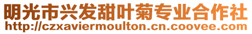明光市興發甜葉菊專業合作社