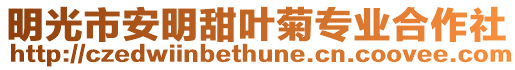 明光市安明甜葉菊專業合作社