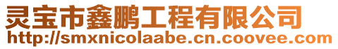 靈寶市鑫鵬工程有限公司