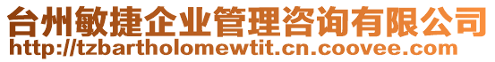 臺州敏捷企業管理咨詢有限公司