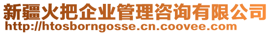新疆火把企業管理咨詢有限公司