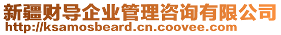 新疆財導企業(yè)管理咨詢有限公司
