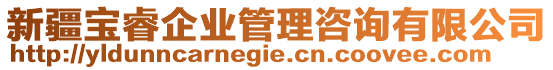 新疆寶睿企業管理咨詢有限公司