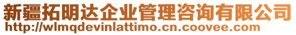 新疆拓明達企業管理咨詢有限公司