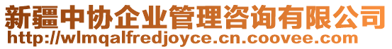 新疆中協(xié)企業(yè)管理咨詢有限公司