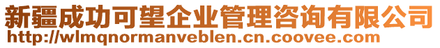 新疆成功可望企業(yè)管理咨詢有限公司