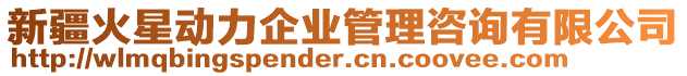 新疆火星動力企業管理咨詢有限公司