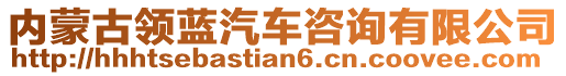 內(nèi)蒙古領(lǐng)藍(lán)汽車咨詢有限公司