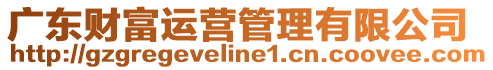 廣東財富運營管理有限公司