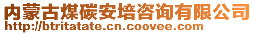 內(nèi)蒙古煤碳安培咨詢有限公司