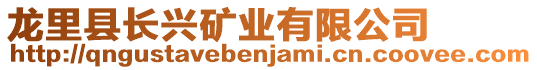 龍里縣長興礦業(yè)有限公司