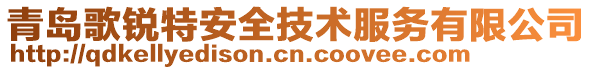 青島歌銳特安全技術服務有限公司