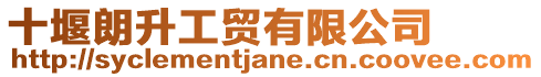 十堰朗升工貿有限公司
