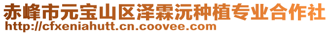 赤峰市元寶山區澤霖沅種植專業合作社