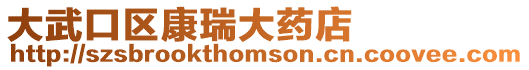 大武口區康瑞大藥店