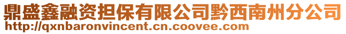 鼎盛鑫融資擔(dān)保有限公司黔西南州分公司