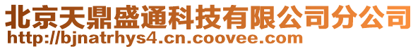 北京天鼎盛通科技有限公司分公司