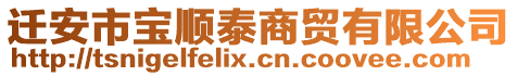 遷安市寶順泰商貿(mào)有限公司