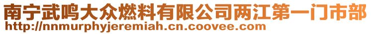 南寧武鳴大眾燃料有限公司兩江第一門市部