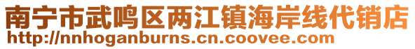 南寧市武鳴區(qū)兩江鎮(zhèn)海岸線代銷店