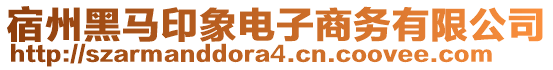 宿州黑馬印象電子商務(wù)有限公司