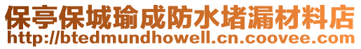 保亭保城瑜成防水堵漏材料店