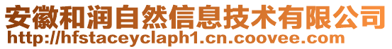 安徽和潤自然信息技術(shù)有限公司