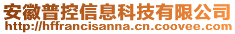 安徽普控信息科技有限公司