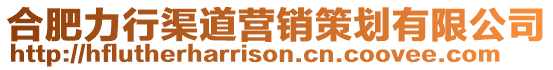 合肥力行渠道營銷策劃有限公司