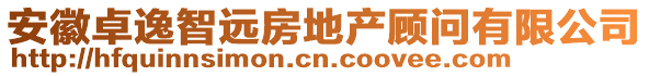 安徽卓逸智遠房地產(chǎn)顧問有限公司