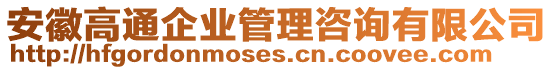 安徽高通企業(yè)管理咨詢有限公司