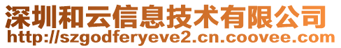 深圳和云信息技術有限公司