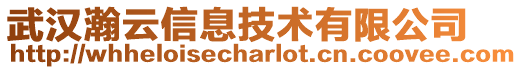 武漢瀚云信息技術有限公司