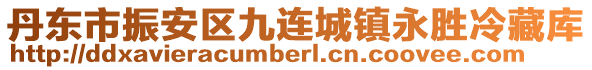 丹東市振安區(qū)九連城鎮(zhèn)永勝冷藏庫