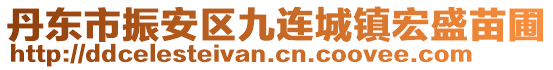 丹東市振安區(qū)九連城鎮(zhèn)宏盛苗圃