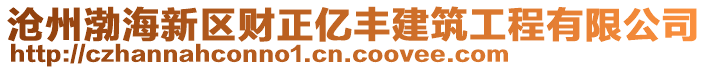 滄州渤海新區(qū)財(cái)正億豐建筑工程有限公司