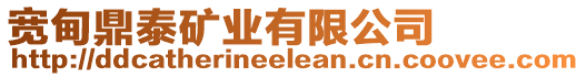 寬甸鼎泰礦業有限公司