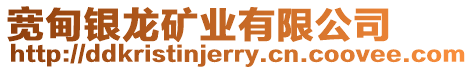 寬甸銀龍礦業有限公司