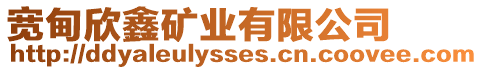 寬甸欣鑫礦業有限公司