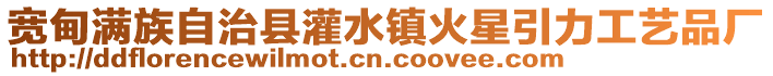 寬甸滿族自治縣灌水鎮火星引力工藝品廠