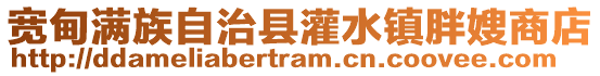 寬甸滿族自治縣灌水鎮胖嫂商店