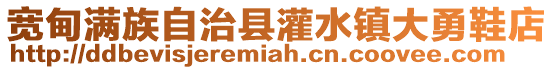 寬甸滿(mǎn)族自治縣灌水鎮(zhèn)大勇鞋店