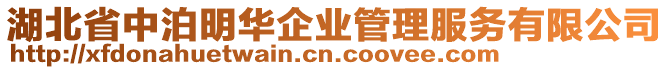 湖北省中泊明華企業(yè)管理服務有限公司