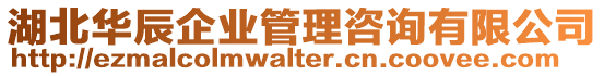 湖北華辰企業管理咨詢有限公司