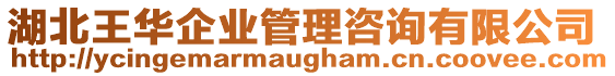 湖北王華企業(yè)管理咨詢有限公司