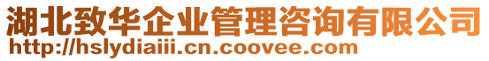 湖北致華企業(yè)管理咨詢有限公司