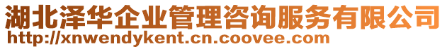 湖北澤華企業管理咨詢服務有限公司