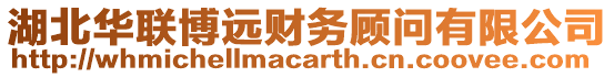 湖北華聯博遠財務顧問有限公司