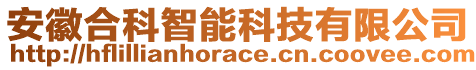 安徽合科智能科技有限公司