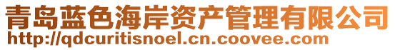 青島藍(lán)色海岸資產(chǎn)管理有限公司